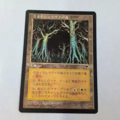 3点300円【MTG】スカイシュラウドの森 日本語版 マジックザギャザリングのサムネイル