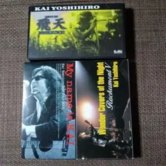 VHS 岡村靖幸 ビデオ2本セット - メルカリ