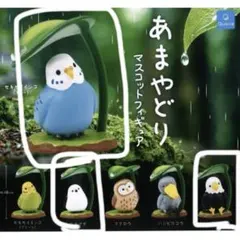 あまやどり ガチャ