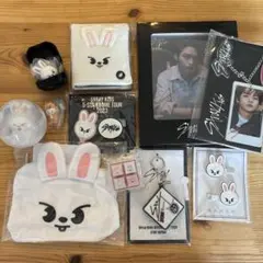 Stray Kids SKZOO Leebit グッズ 8点セット - メルカリ