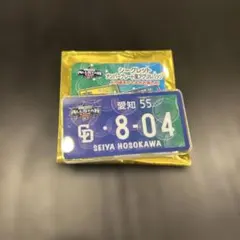 マイナビオールスターゲーム2026 細川成也 アクリルバッジ