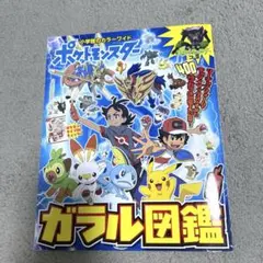 【美品】ポケモン ガラル図鑑