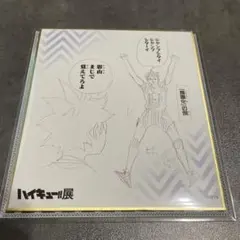 ハイキュー展日向•影山コンビ色紙