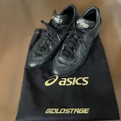 asics GOLD STAGE スピードテック　野球スパイク　袋付26.5cm