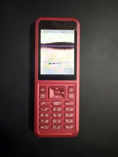 ソフトバンク プリペイド式携帯電話 Simply NP602SI ①のサムネイル