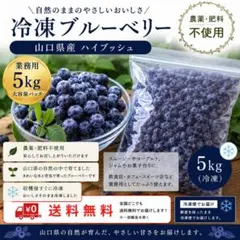 冷凍ブルーベリー 5kg ③ - メルカリ