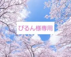 ぴるん様専用　カーステッカー