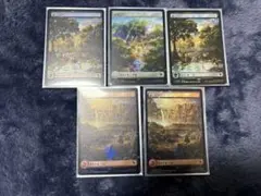 MTG チョコボバンドル 基本土地 チョコボトラックfoil 5枚セット FF