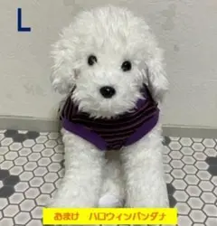 【Jii♡wan】ハンドメイド　ハロウィンカラー　フレアワンピース／L