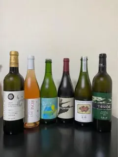 バックヴィンテージ　日本ワイン6本セットのサムネイル