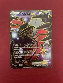 2026年最新】イベルタルex srの人気アイテム - メルカリ