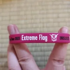 ヘブバン　She is Legend Live Tour 2023 リストバンド