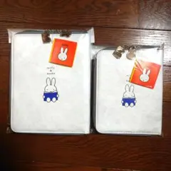 Item thumbnail for item 6c527471-3eea-443c-bad4-009c9a61323b