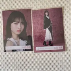 櫻坂46 生写真 5th Anniversary ドレス衣装 山田桃実 5枚 - メルカリ