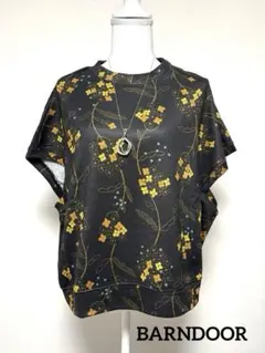 Item thumbnail for item 73d54008-a2f2-4315-817d-5a8d44591620