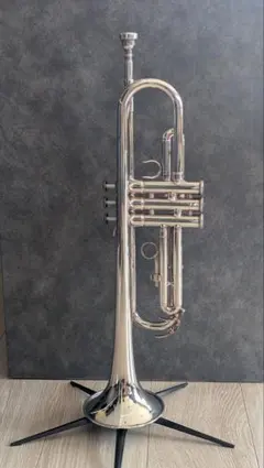 2026年最新】yamaha ytr-233の人気アイテム - メルカリ