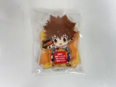 家庭教師ヒットマンREBORN! 沢田綱吉 ひこくじ アクスタ