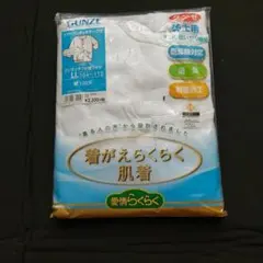 GUNZE 介護用肌着 LLサイズのサムネイル