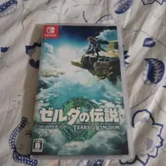 ゼルダの伝説 ティアーズ オブ ザ キングダム