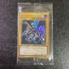 新品　遊戯王　真紅眼の黒竜　レッドアイズブラックドラゴン　プレミアムゴールドレア