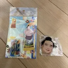 白熊　アクリルスタンド　ヘアピン　相撲