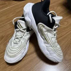 バスケットボールシューズ NIKEのヤニス　イモータリティ4GS
