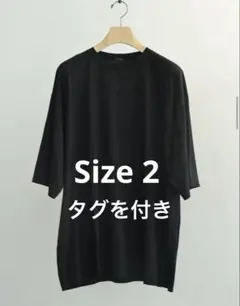 26ss COMOLI コモリ オックスプルオーバー サイズ2 - メルカリ