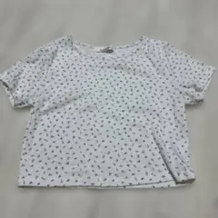 archives 花柄 リブ 半袖 カットソー