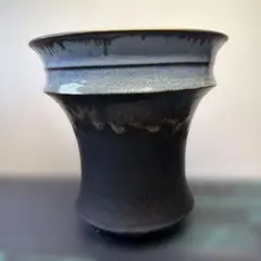 平鉢〜Hiyodori〜 6号直径18㎝ 作家鉢 3Dプリンター鉢 アガベ - メルカリ