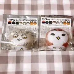 【新品未使用品】ハイキュー動物マスコットミニビーズクッション 木兎 赤葦 セット