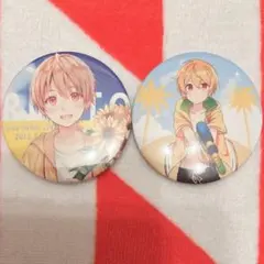 すとぷり　るぅとくん　るぅと　等身　ワンマン　すとめも8 水着　缶バッジ
