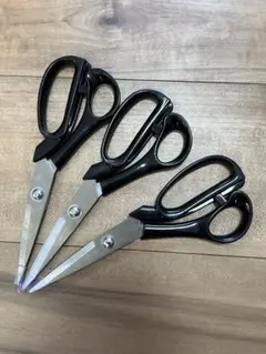 Item thumbnail for item 02f963bb-5193-4237-9056-f499ef47a8c0