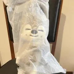 straykids fans plush bag バンチャン ウルフチャン