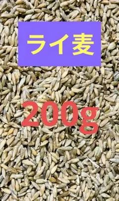 ライ麦 種子のサムネイル