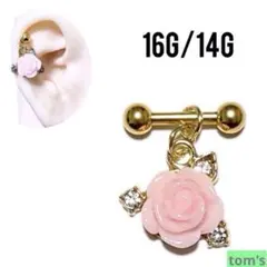 Item thumbnail for item a91e9af0-f9f4-41d9-ab5f-e5878767c43f