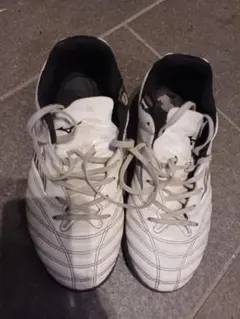 Item thumbnail for item f06d142c-e1e6-4750-84ed-cd6cc9c69b93