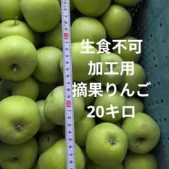 加工用 摘果りんご 20kg 生食不可のサムネイル