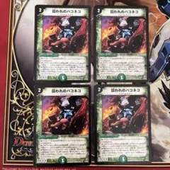 囚われのパコネコ　初期　4枚