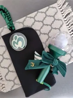 ハンドメイド♡ ワッペン保護透明ケース付属 ペンライトケース