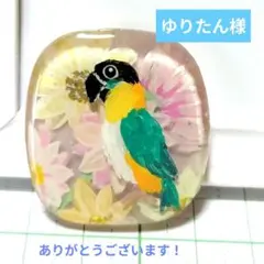 ゆりたん様おまとめ　●ズグロシロハラ　レジンヘアゴム　横向き　インコ　手描き