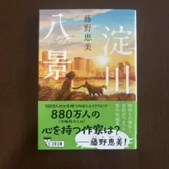 藤野恵美 八景