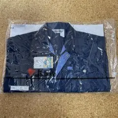 Item thumbnail for item f6b665e5-9273-4057-bc5b-22cd1d37fe0c