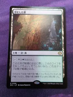 MTG 神聖なる泉/Hallowed Fountain 日本語 ECL - メルカリ
