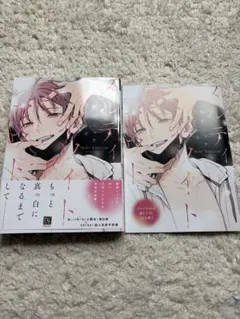 メルティホワイトアウト アニメイト小冊子セット 鯛野ニッケ