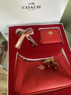 超美品P.C. ソニックマークIIボディ兼用超音波美顔器pierrecardin