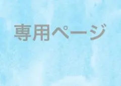 きなこもち様専用
