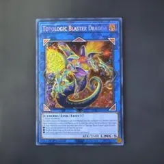 遊戯王 パロットドラゴン c31 - メルカリ