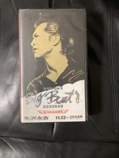 Item thumbnail for item 52a30776-24e2-4789-a4a2-2bca7820e5d3