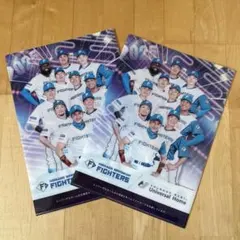 ファイターズ 記念グッズ