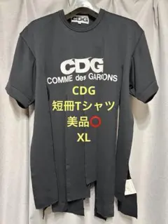 最終値下げ⭕️CDG 短冊　Tシャツ　XLサイズ　ブラックのサムネイル